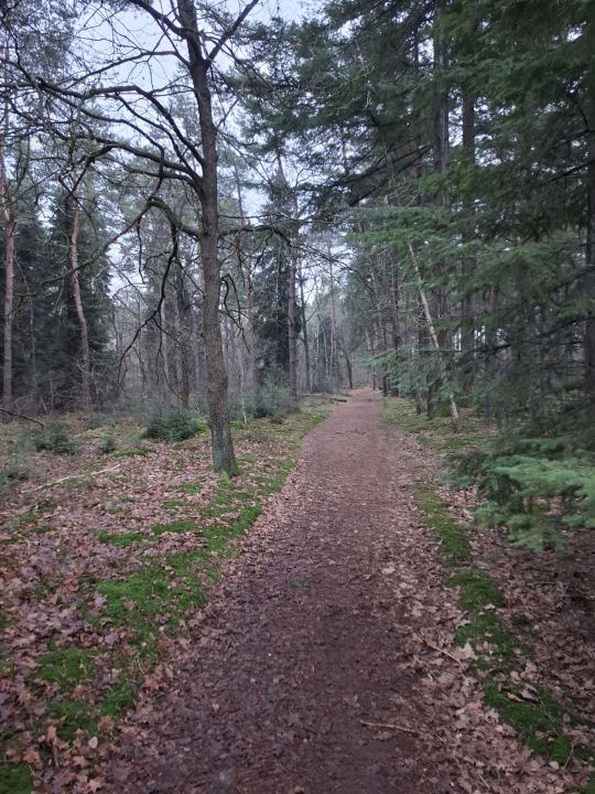 Foto 2 van Schaijk 24 januari