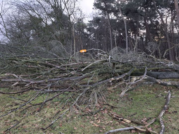 Foto 5 van Schaijk 24 januari