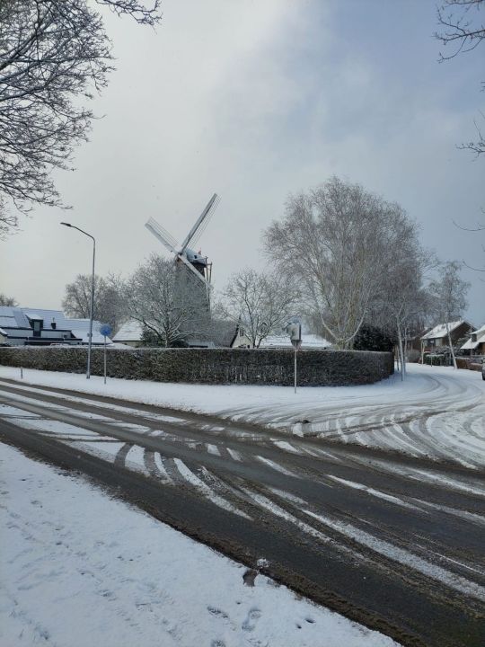 Foto 8 van Breda 3 januari