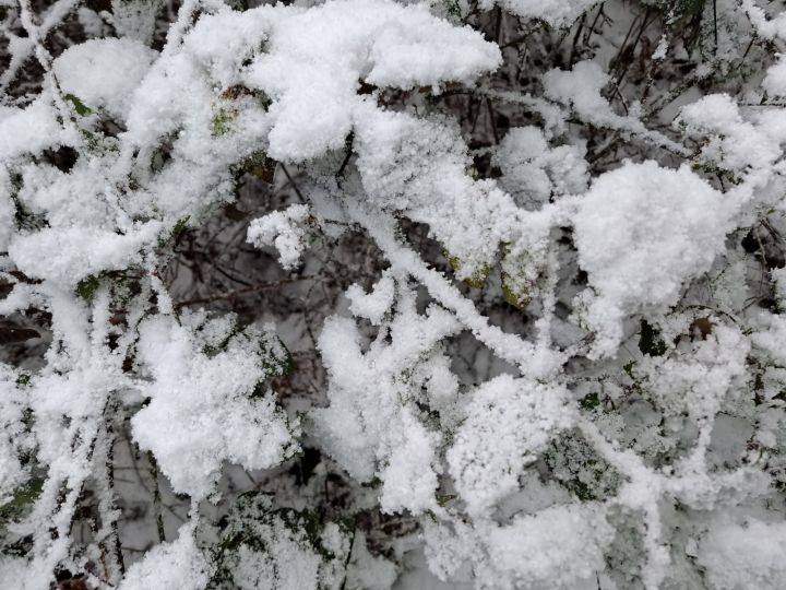 Foto 5 van Breda 3 januari