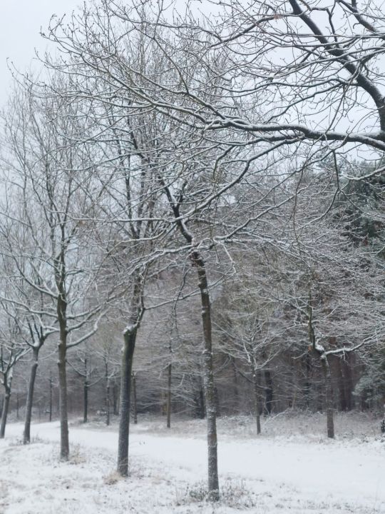Foto 10 van Breda 3 januari