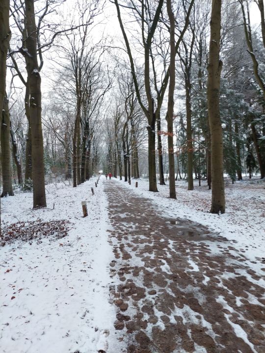 Foto 12 van Breda 3 januari