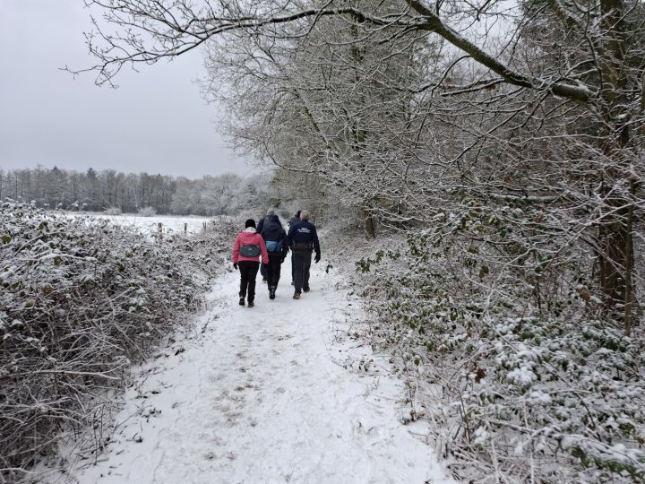 Foto 4 van Breda 3 januari